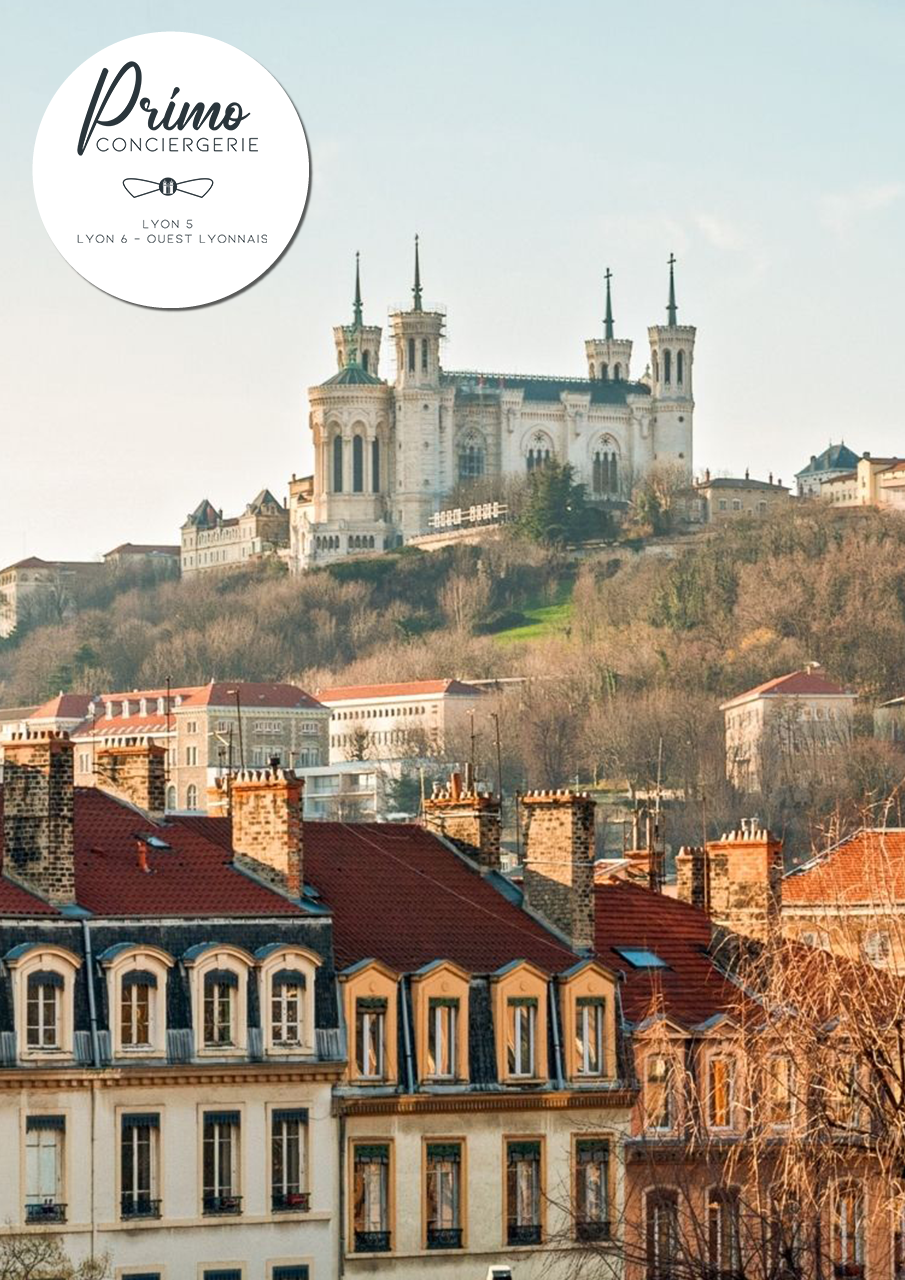 Vue des toits lyonnais avec la basilique de Notre-Dame de Fourvière en arrière-plan, Lyon 5.