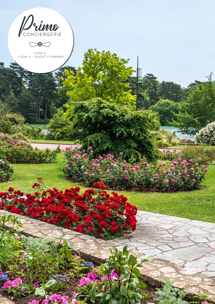 Jardin fleuri avec des rosiers rouges et roses dans un parc de Lyon.