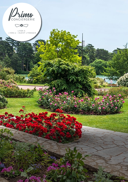 Vue d'un jardin avec des rosiers rouges et roses dans un parc de Lyon 6, avec un espace vert apaisant.