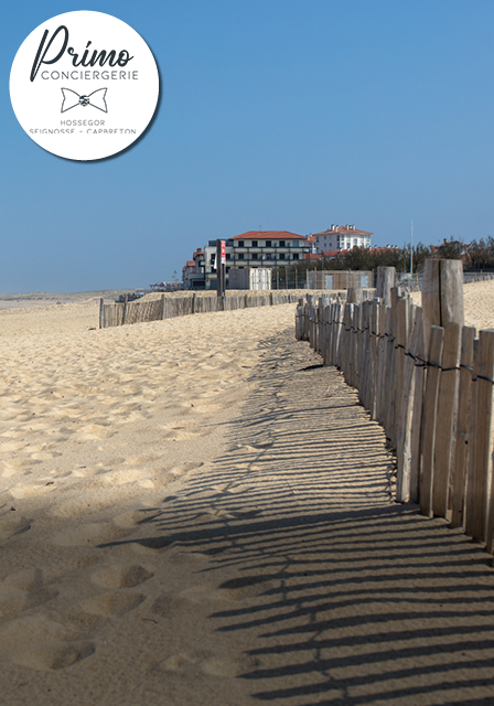 Plage d'Hossegor avec une vue panoramique sur la mer et les dunes.