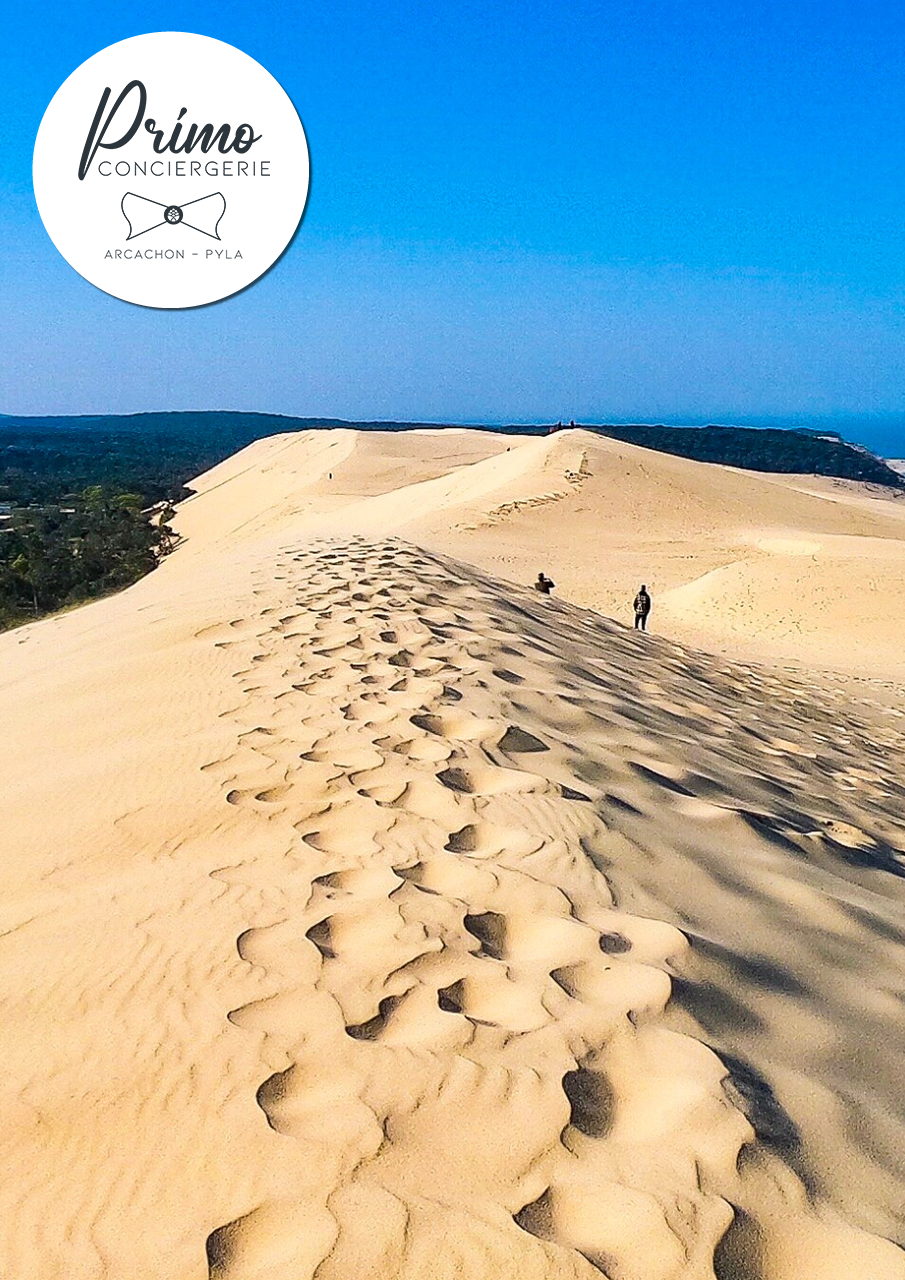 Dune du Pilat sous un ciel bleu à Arcachon
