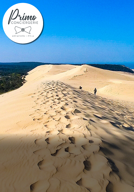 Crête de la Dune du Pilat avec vue sur l’océan Atlantique